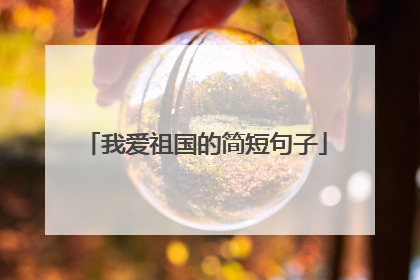 我爱祖国的简短句子