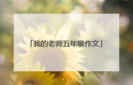 我的老师五年级作文