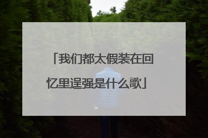 我们都太假装在回忆里逞强是什么歌