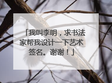 我叫李明,求书法家帮我设计一下艺术签名。谢谢!