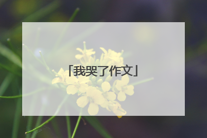 我哭了作文
