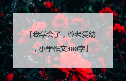 我学会了,尊老爱幼,小学作文300字