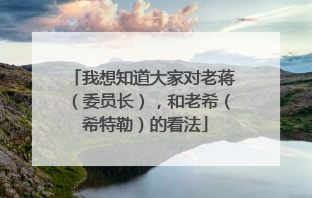 我想知道大家对老蒋(委员长),和老希(希特勒)的看法
