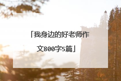 我身边的好老师作文800字5篇
