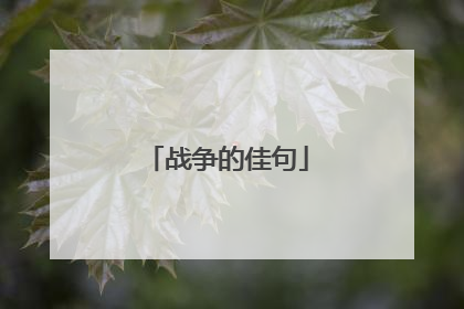 战争的佳句