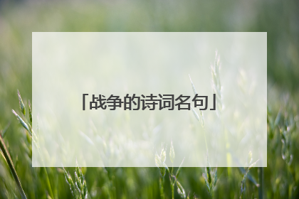 战争的诗词名句