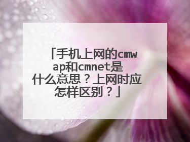 手机上网的cmwap和cmnet是什么意思？上网时应怎样区别？