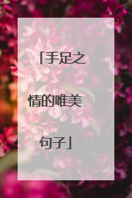 手足之情的唯美句子