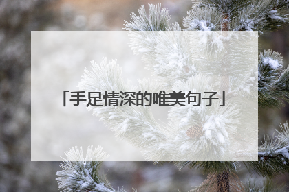 手足情深的唯美句子
