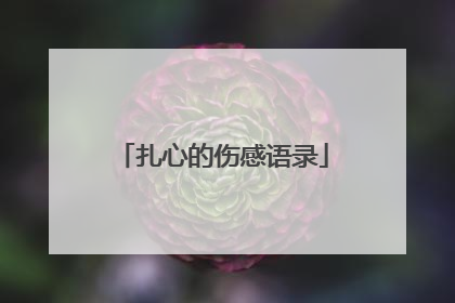 扎心的伤感语录