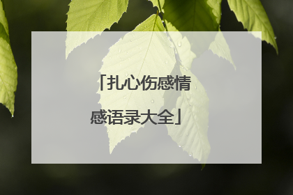 扎心伤感情感语录大全