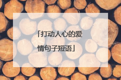 打动人心的爱情句子短语