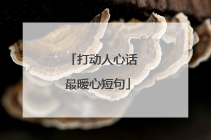 打动人心话最暖心短句