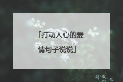 打动人心的爱情句子说说