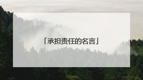 承担责任的名言