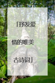 抒发爱情的唯美古诗词