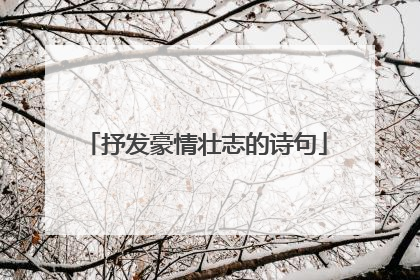 抒发豪情壮志的诗句