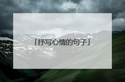 抒写心情的句子