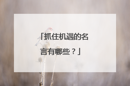抓住机遇的名言有哪些?