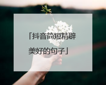 抖音简短精辟美好的句子