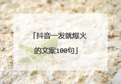 抖音一发就爆火的文案100句