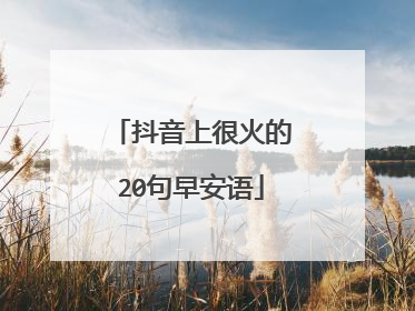 抖音上很火的20句早安语