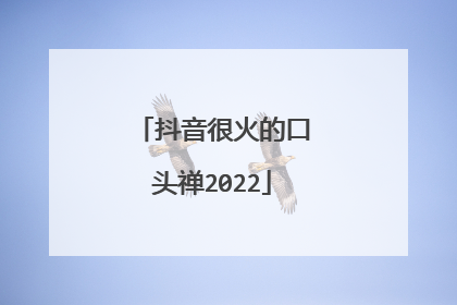 抖音很火的口头禅2022