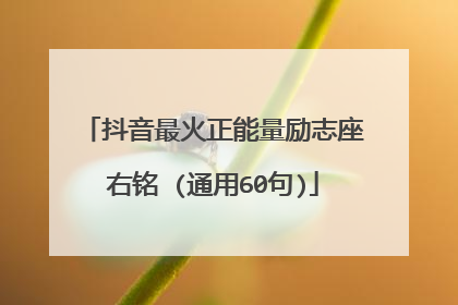抖音最火正能量励志座右铭 (通用60句)