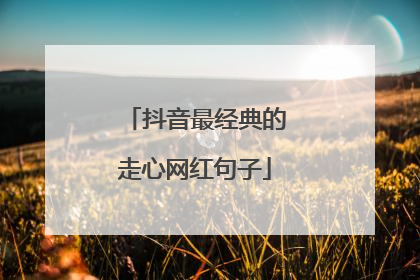 抖音最经典的走心网红句子