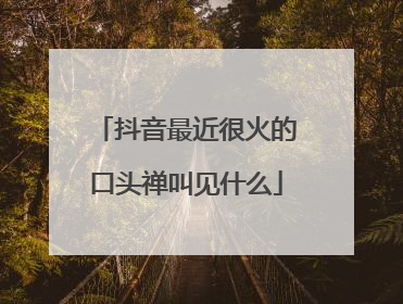 抖音最近很火的口头禅叫见什么