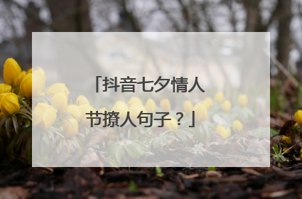 抖音七夕情人节撩人句子?