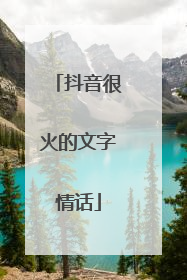 抖音很火的文字情话