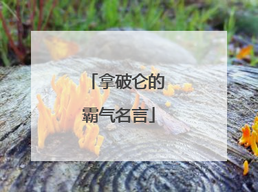 拿破仑的霸气名言
