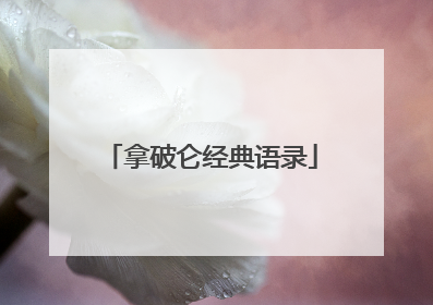 拿破仑经典语录