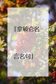 拿破仑名言名句