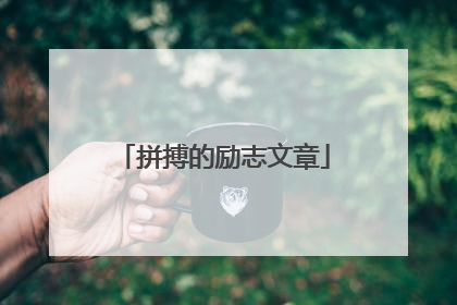 拼搏的励志文章