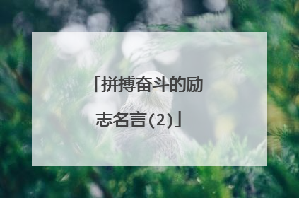 拼搏奋斗的励志名言(2)