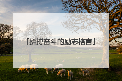 拼搏奋斗的励志格言