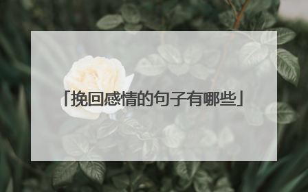 挽回感情的句子有哪些