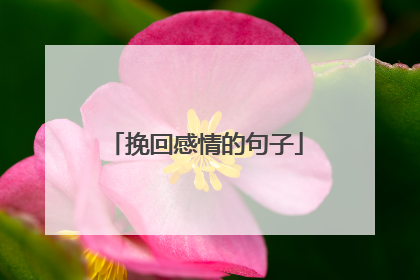 挽回感情的句子