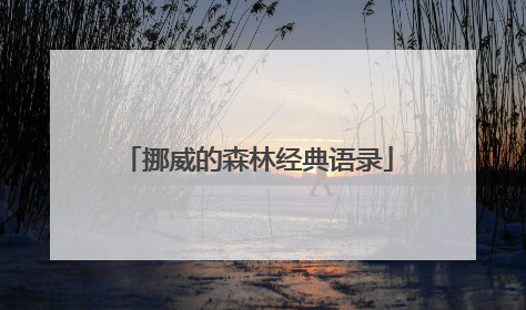 挪威的森林经典语录