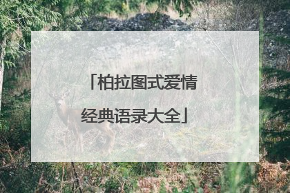 柏拉图式爱情经典语录大全