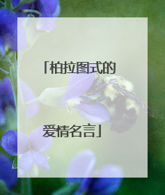 柏拉图式的爱情名言