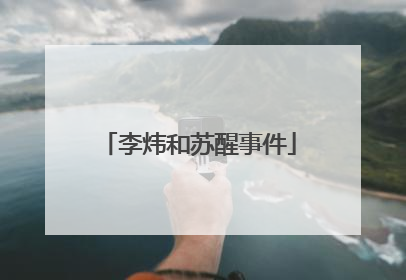 李炜和苏醒事件