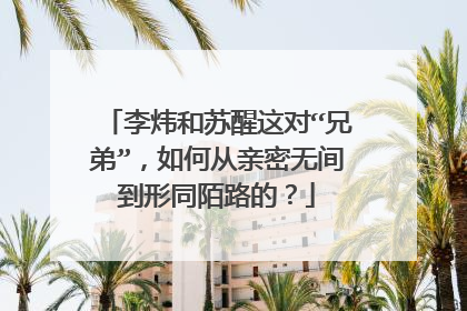 李炜和苏醒这对“兄弟”，如何从亲密无间到形同陌路的？