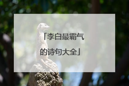 李白最霸气的诗句大全