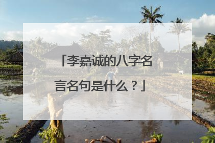 李嘉诚的八字名言名句是什么？