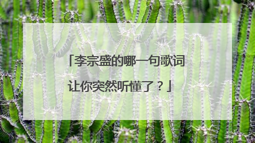 李宗盛的哪一句歌词让你突然听懂了?