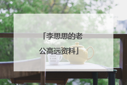 李思思的老公高远资料