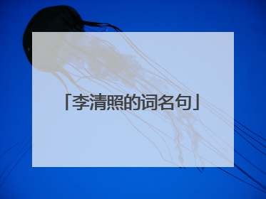 李清照的词名句